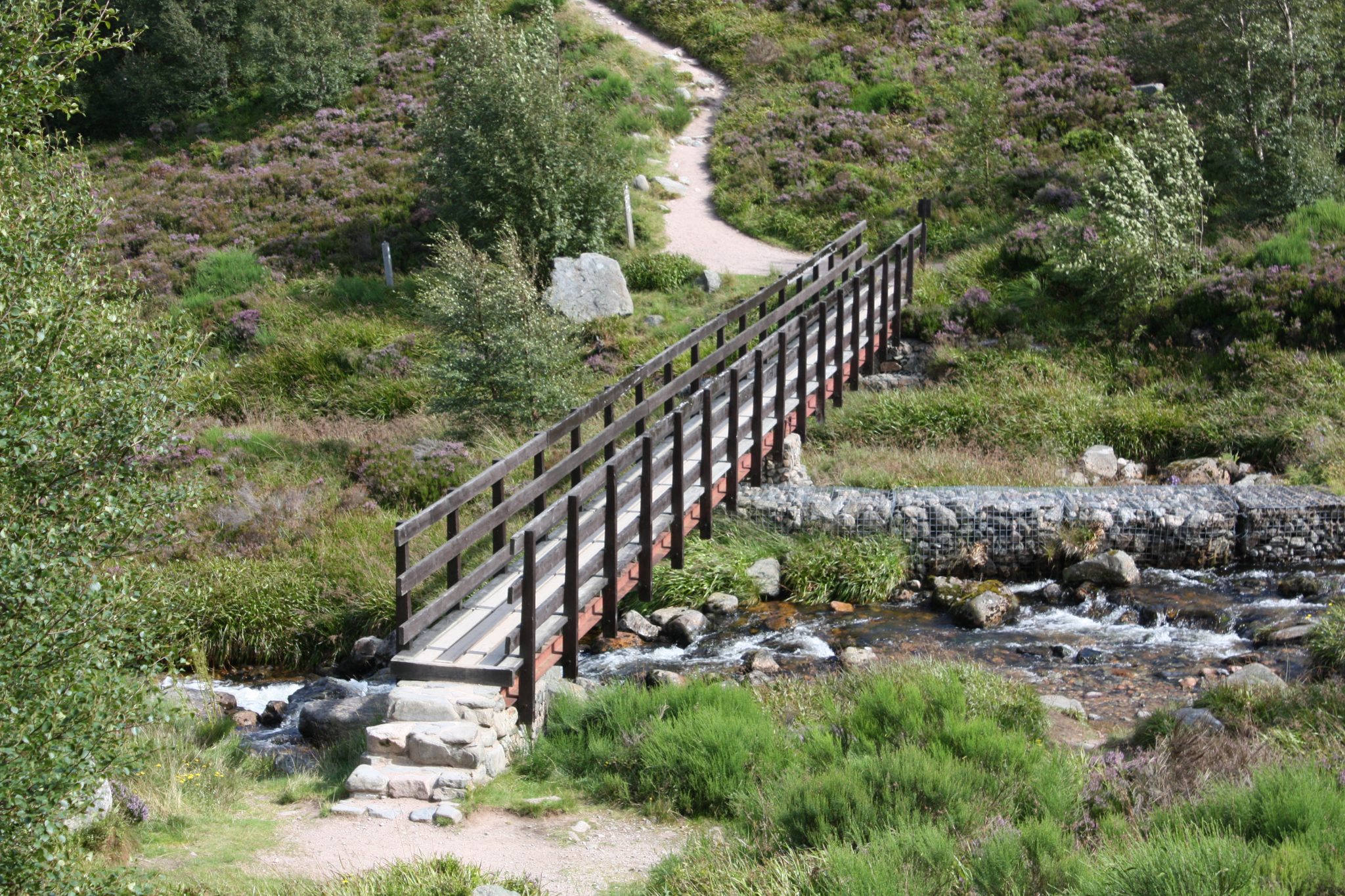 November, 2021 - The Cairngorm Reindeer Herd