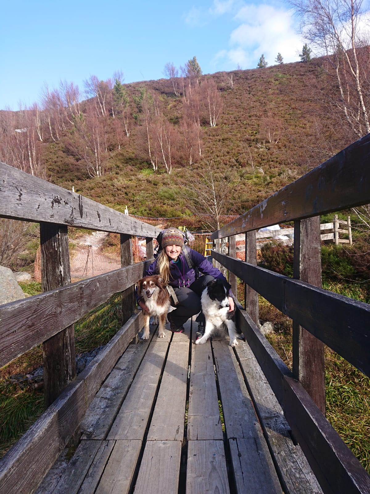Sookie Obituary - The Cairngorm Reindeer Herd