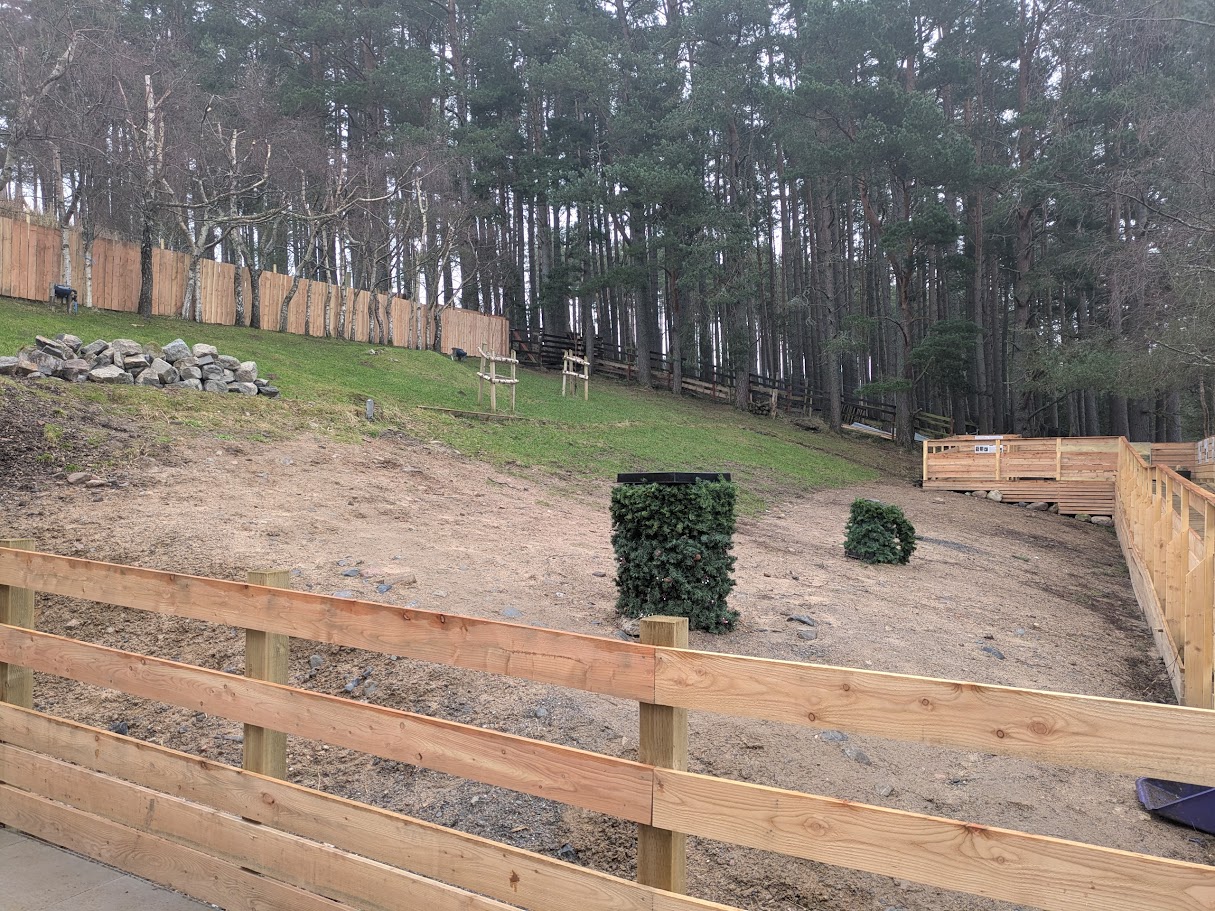 Blog – The Cairngorm Reindeer Herd