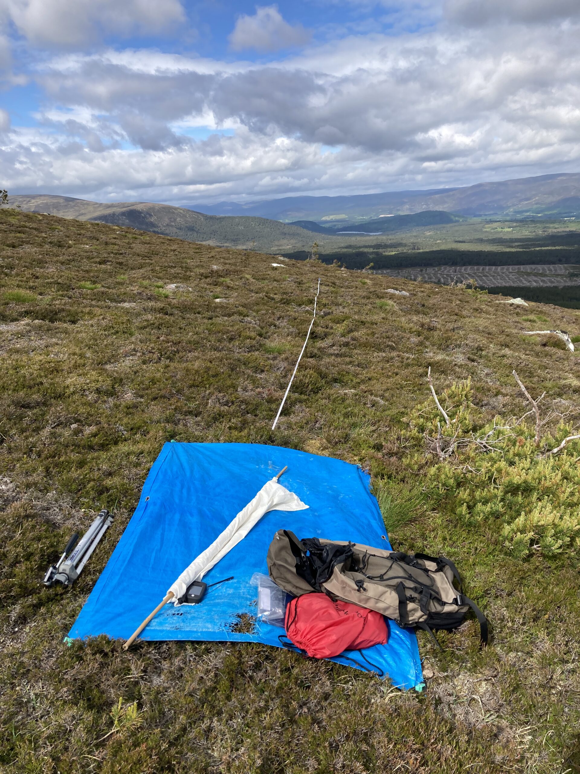 Kate’s journey to full time herding - The Cairngorm Reindeer Herd